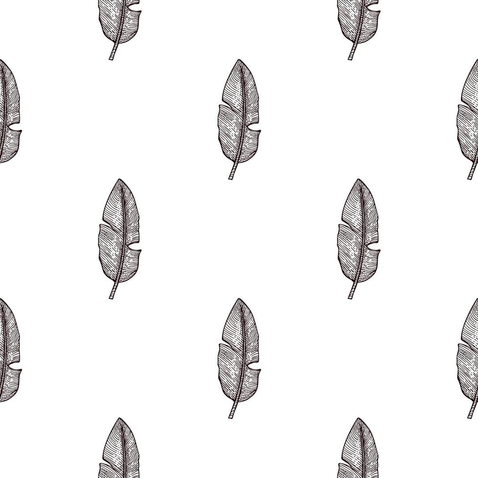 Banana leaf seamless pattern.Vintage tropical branch in engraving style. vector