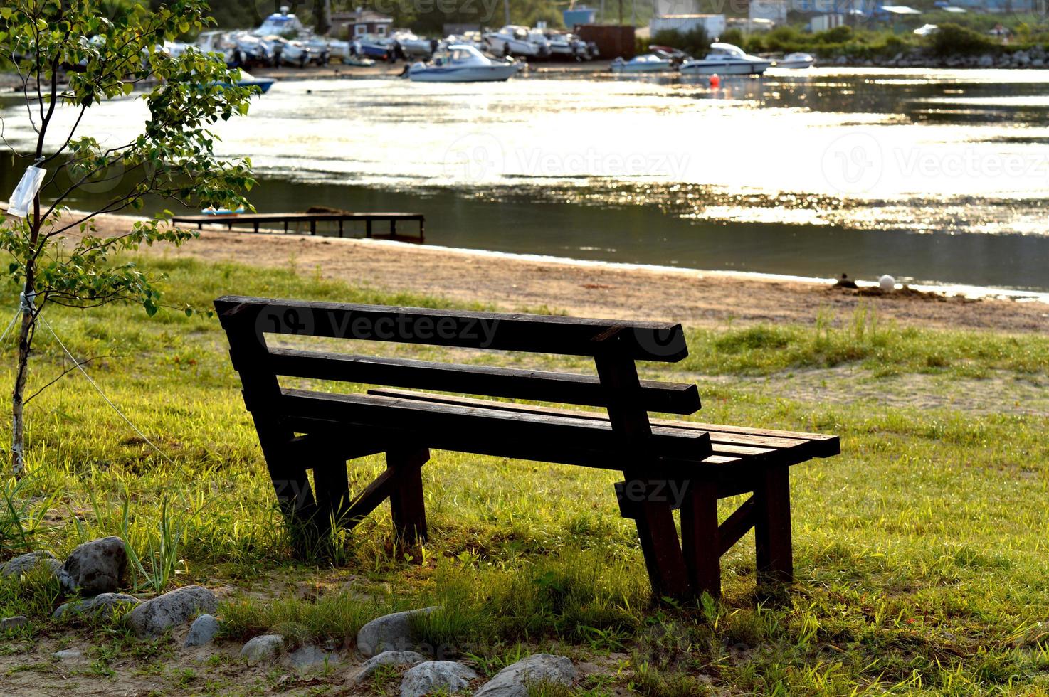 Brown wooden bench in the park. Summer sunny day. Green grass and trees. Resting and relaxing area. Empty bench for sitting. Wood exterior material. Beautiful bench near sea or lake. photo