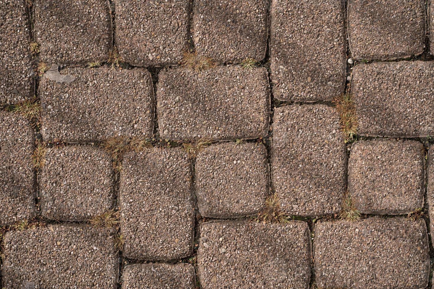 Old pavement with moss texture photo