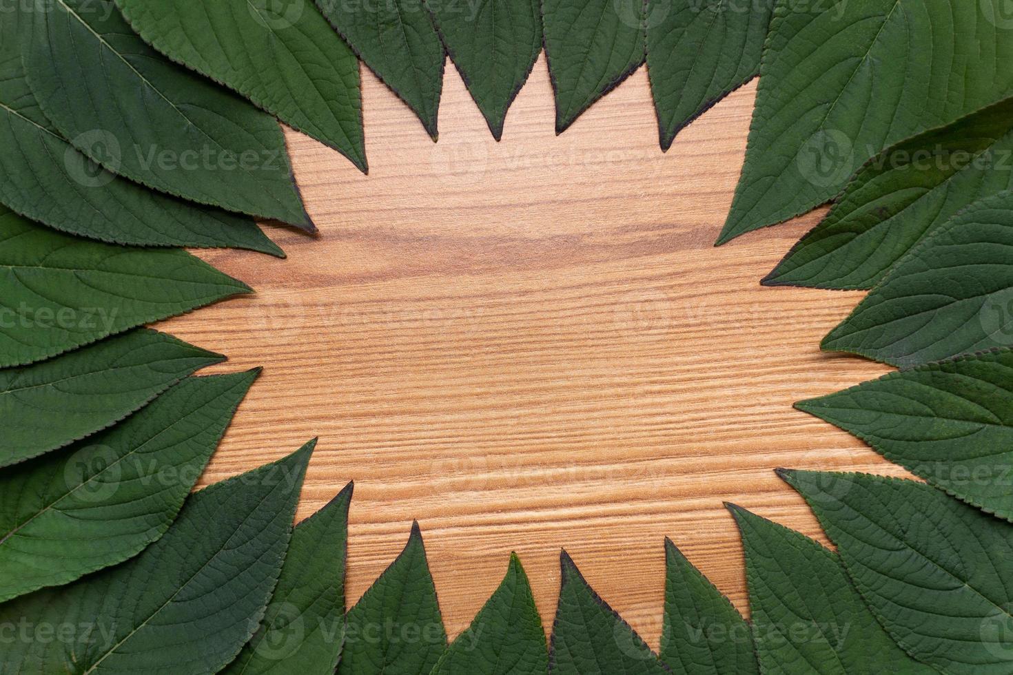 leaf frame on wood photo