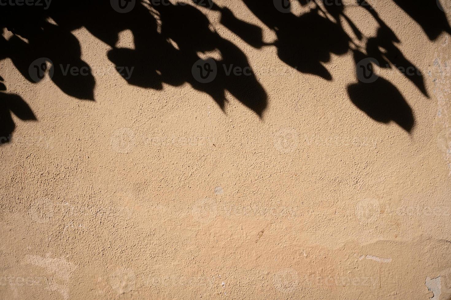 Yellow textured wall with leaf shadows photo