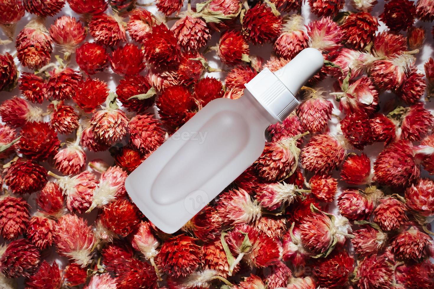 Face serum on globe amaranths photo