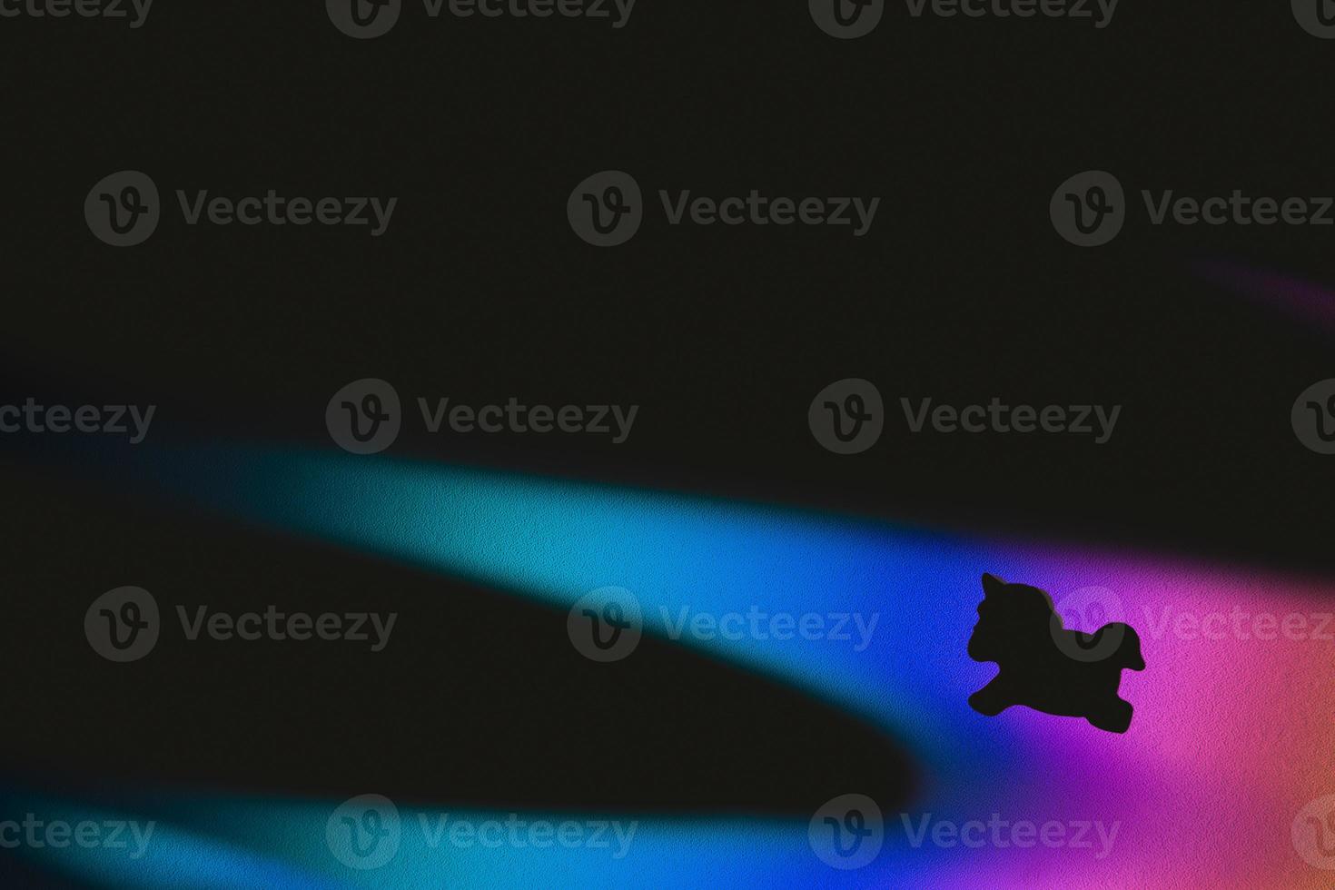 Unicorn on rainbow stripe photo