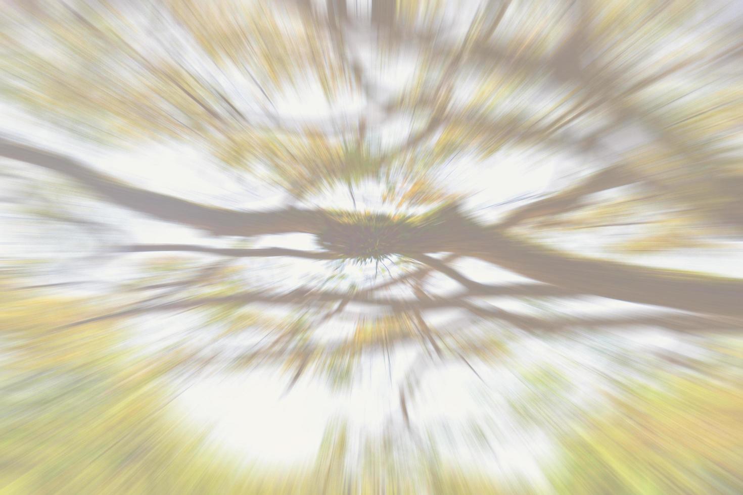 Blurry green trees zoom motion effect backgrounds for design backdrop
