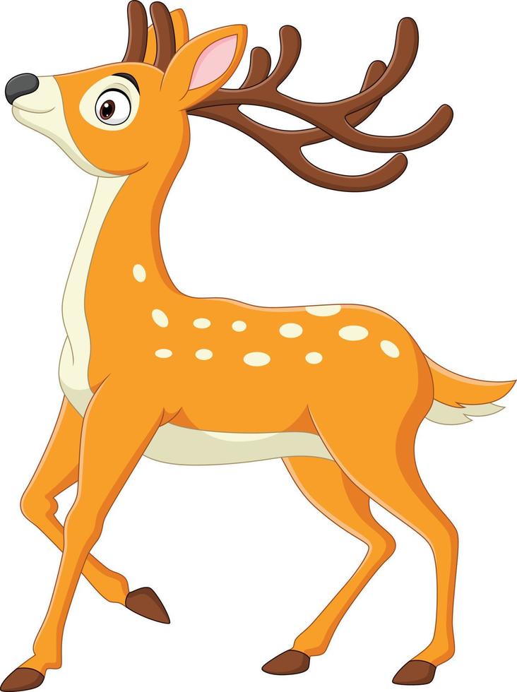 Cartoon funny deer on white background vector