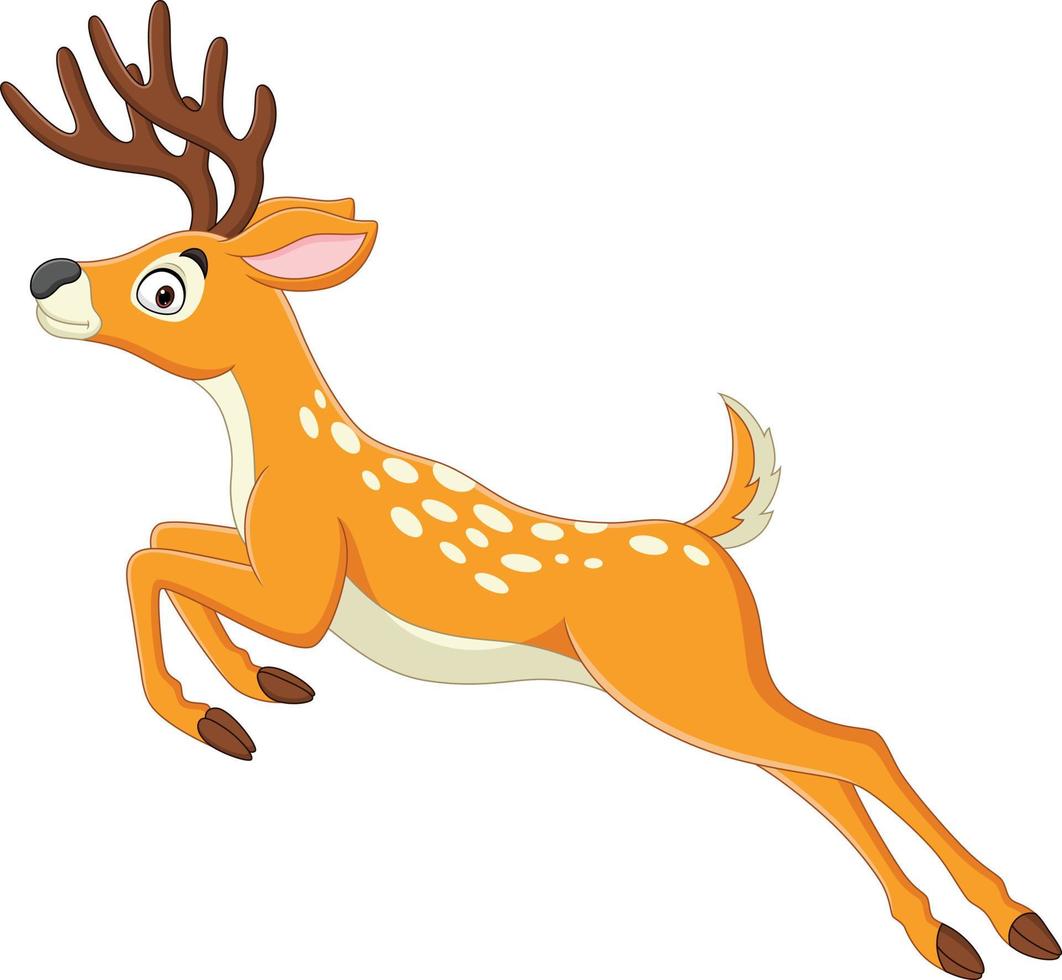 Cartoon funny deer jumping on white background vector