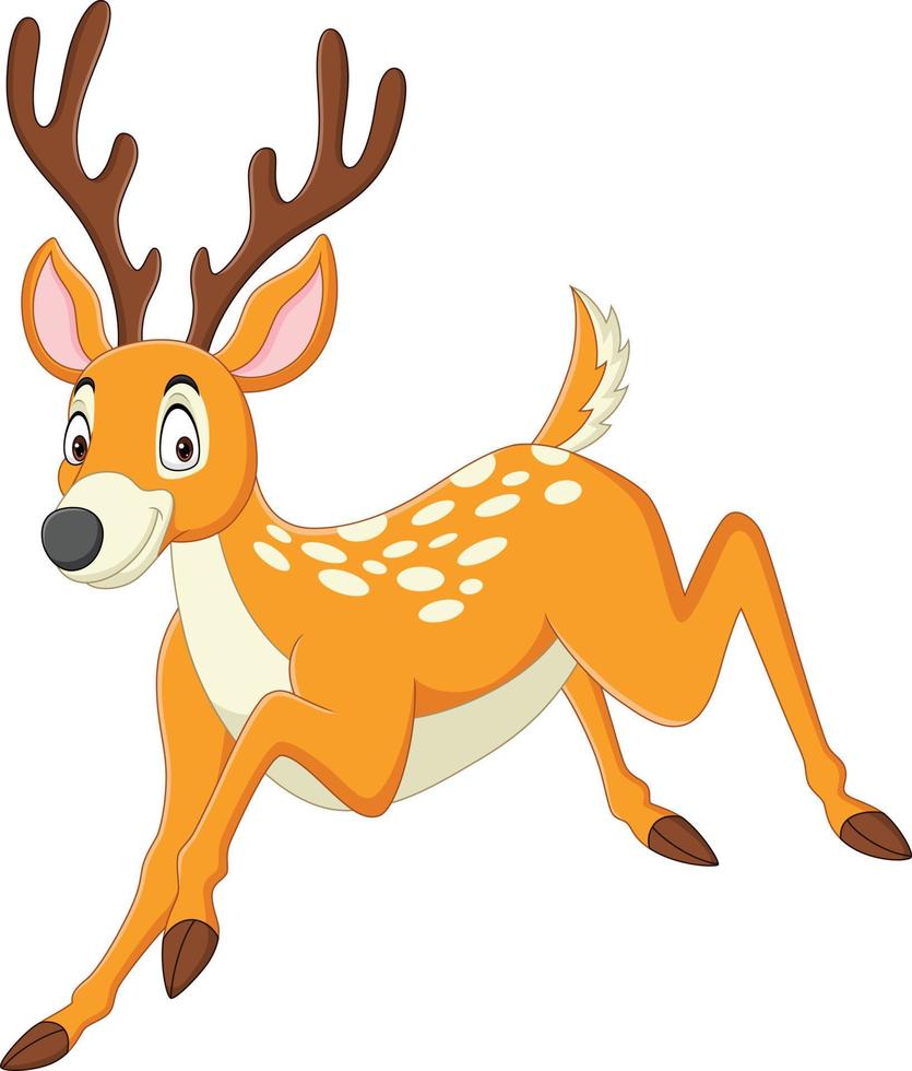 Cartoon funny deer running on white background vector