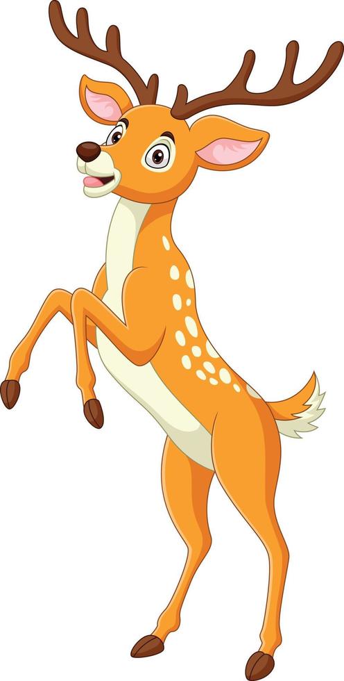 Cartoon funny deer standing on white background vector