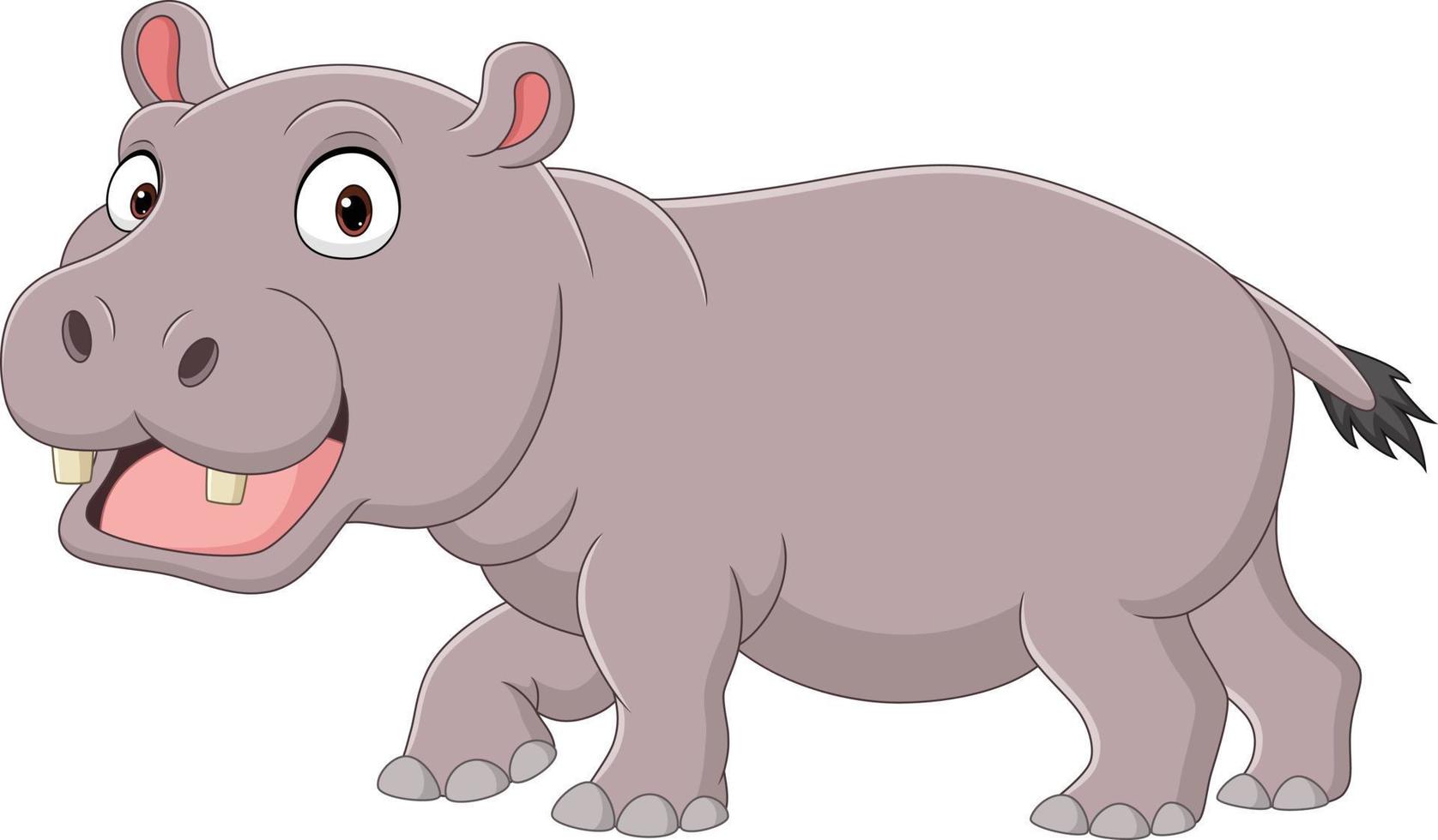 Cute smiling hippo on white background vector