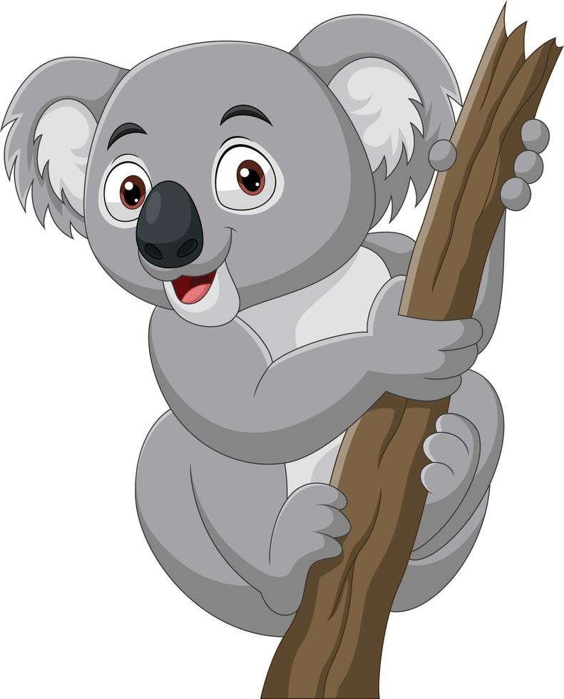 Cartoon koala on a tree branch vector