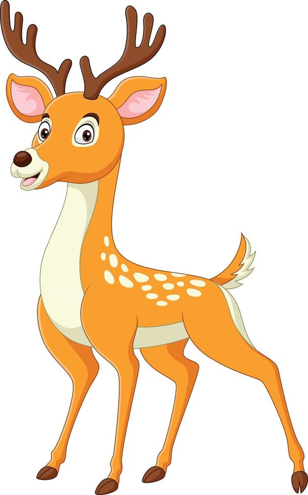 Cartoon funny deer on white background vector