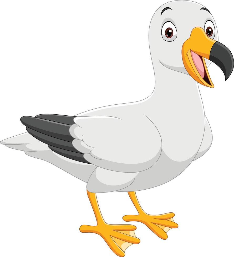 Cartoon funny seagull on white background vector
