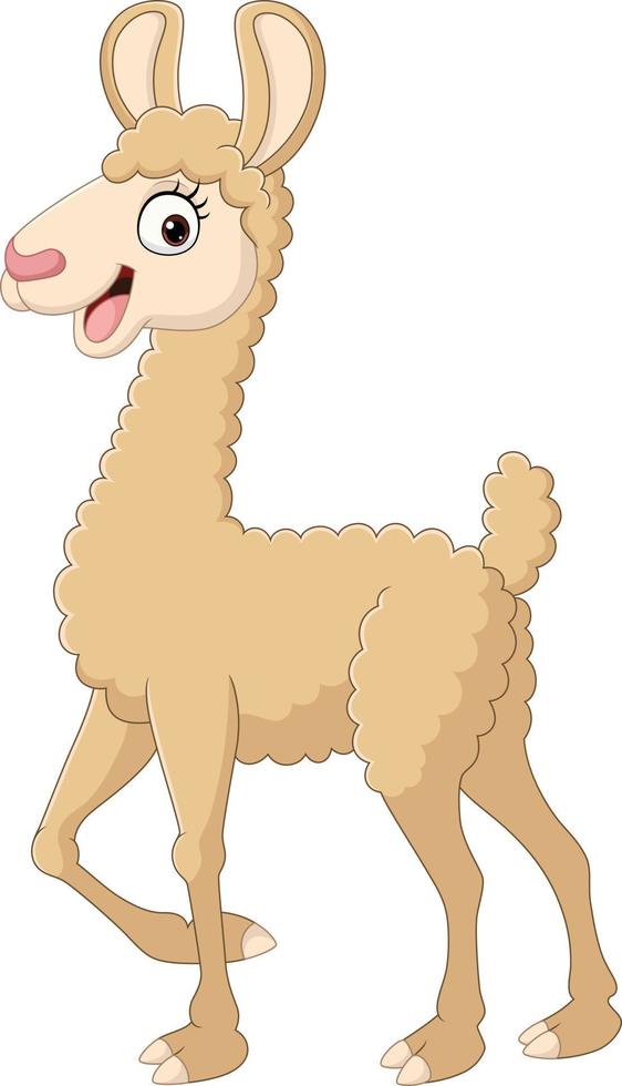 Cute alpaca cartoon on white background vector