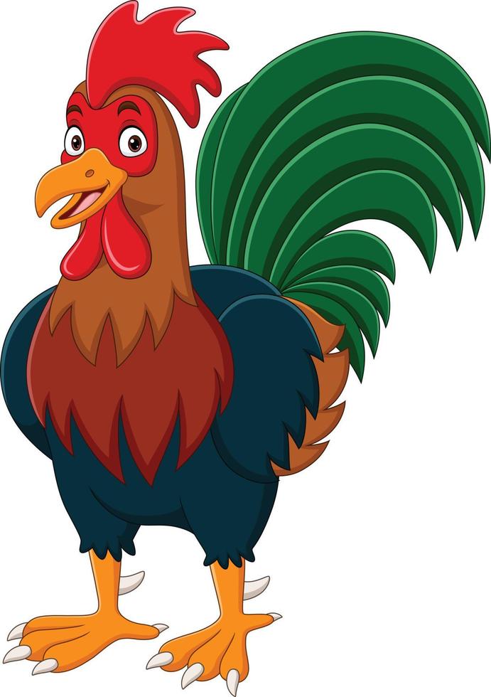 Cartoon funny rooster on white background vector