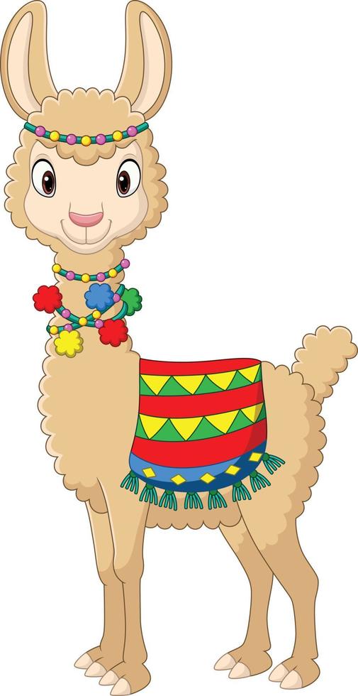 Cartoon funny llama on white background vector