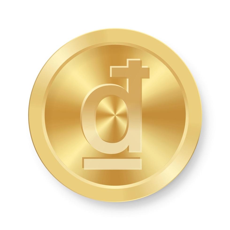 Gold Dong coin Concept of internet web currency vector