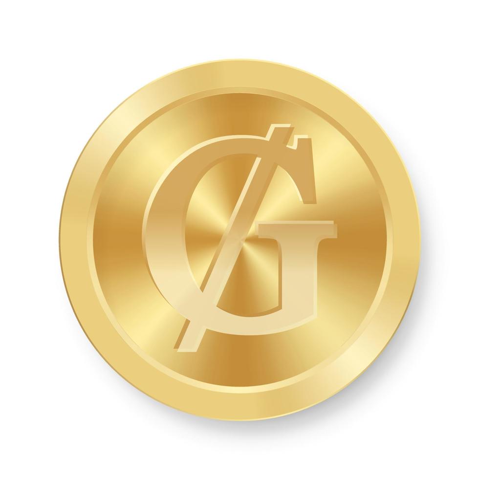 Gold Guarani coin Concept of internet web currency vector