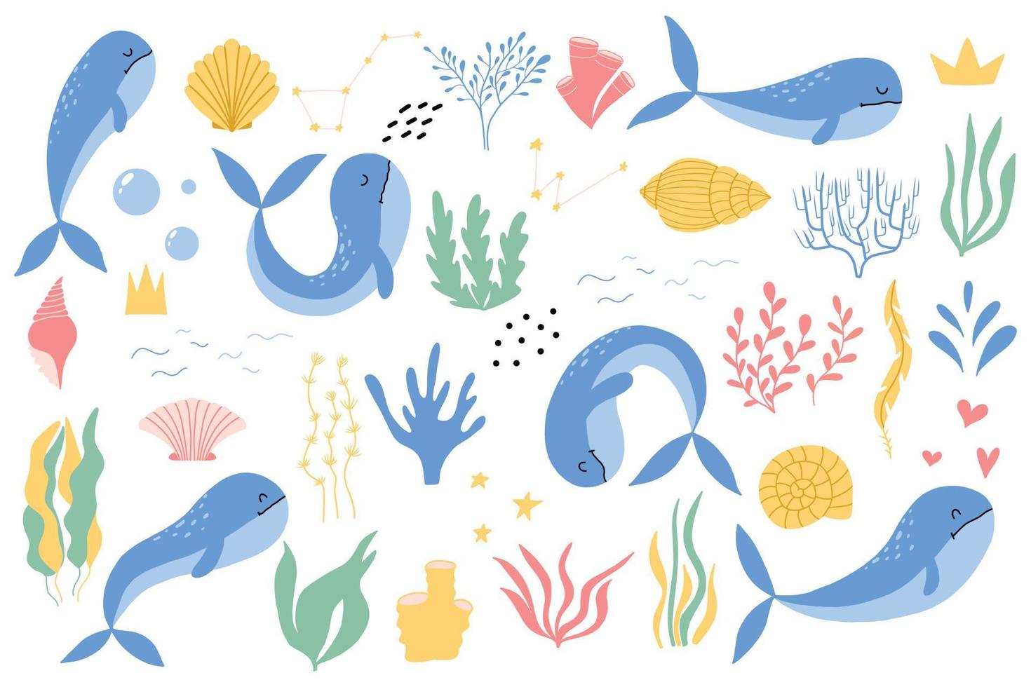 Set with whales, algae and shells. Childish hand drawn set of cute whales. Undersea world. Vector illustration.