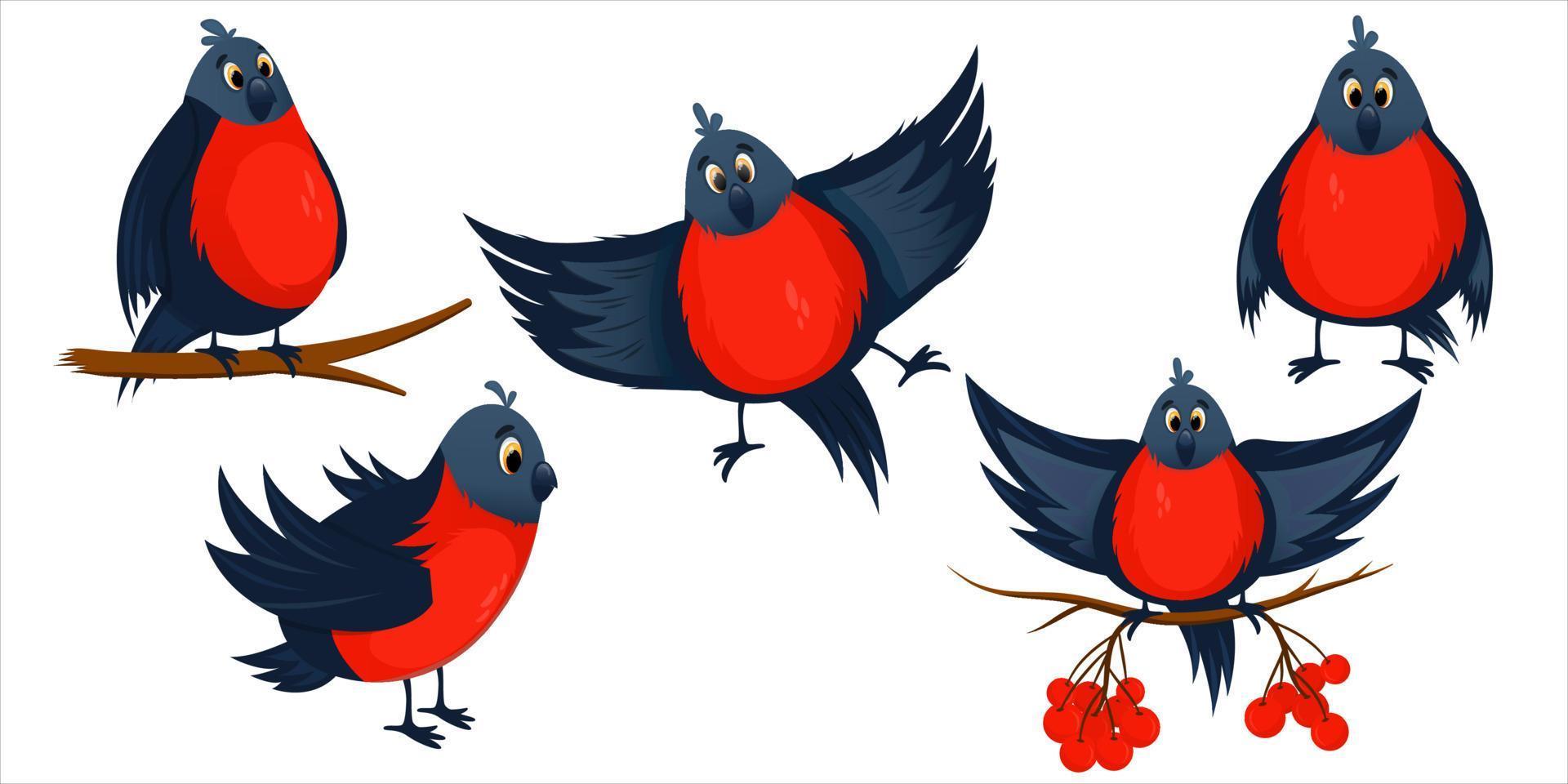 Red bullfinch set cartoon bird isolated. Rowan berries and tree branches with birds. Bright winter bullfinches in flight and sitting. Winter bird character. Cartoon vector illustration