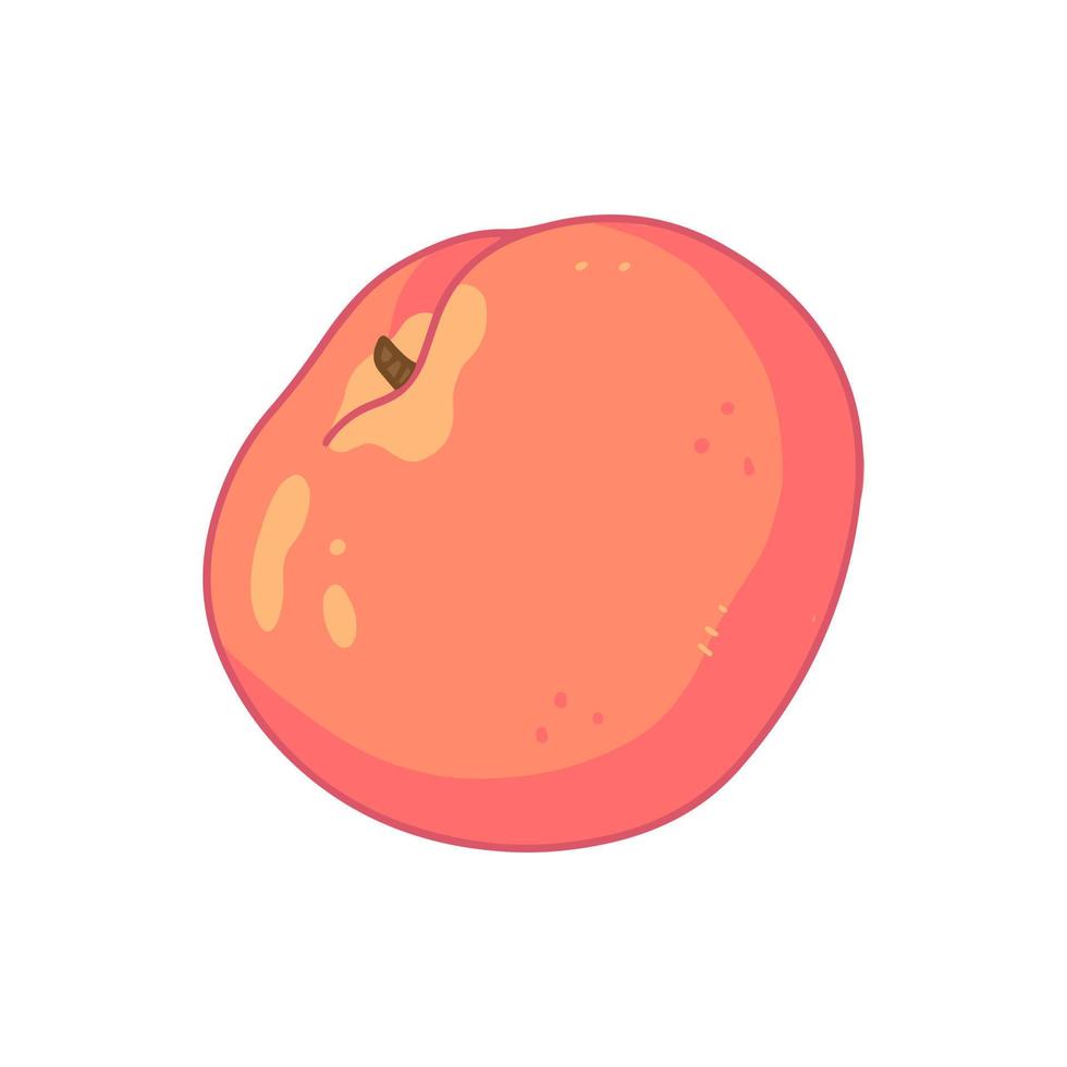 A peach in a cute cartoon style. Vector isolated food fruit illustration