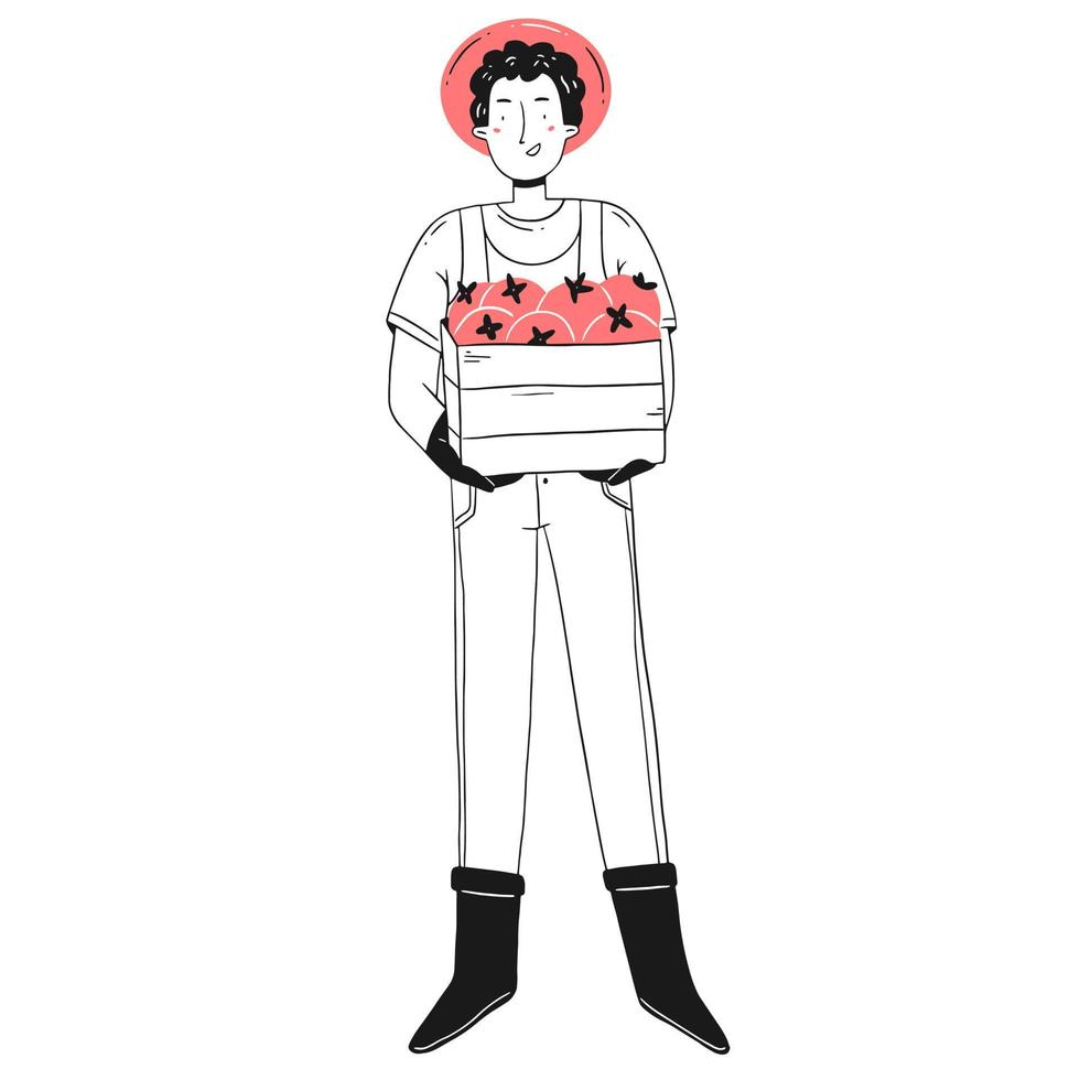 A young happy man gardener holds a box of tomatoes in his hands. Harvest time. Vector isolated garden illustration.