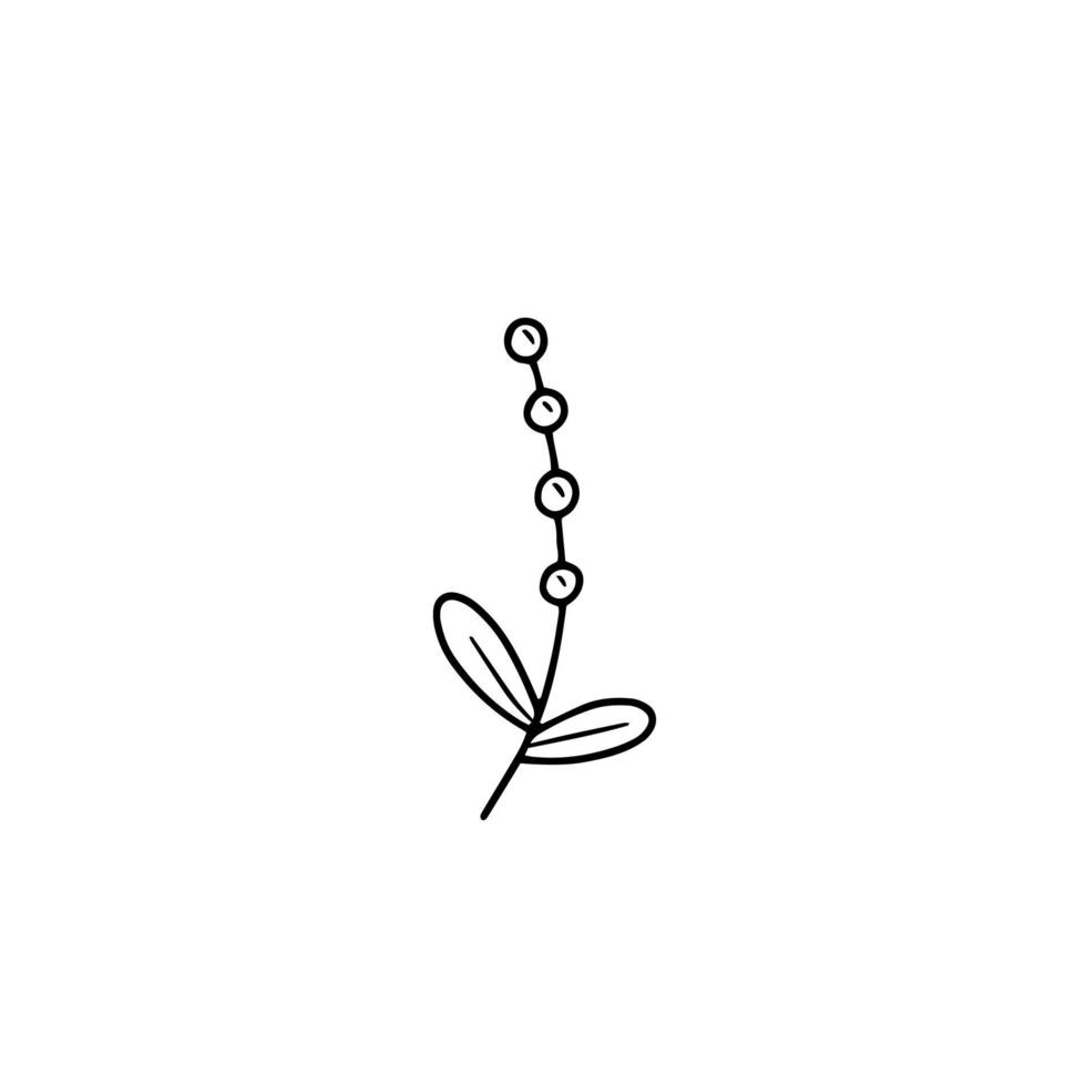 A small twig with berries and leaves in a simple doodle style. Vector isolated illustration.