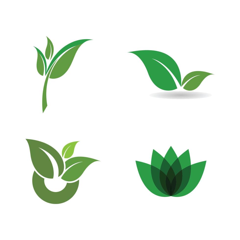 logo de hoja verde vector