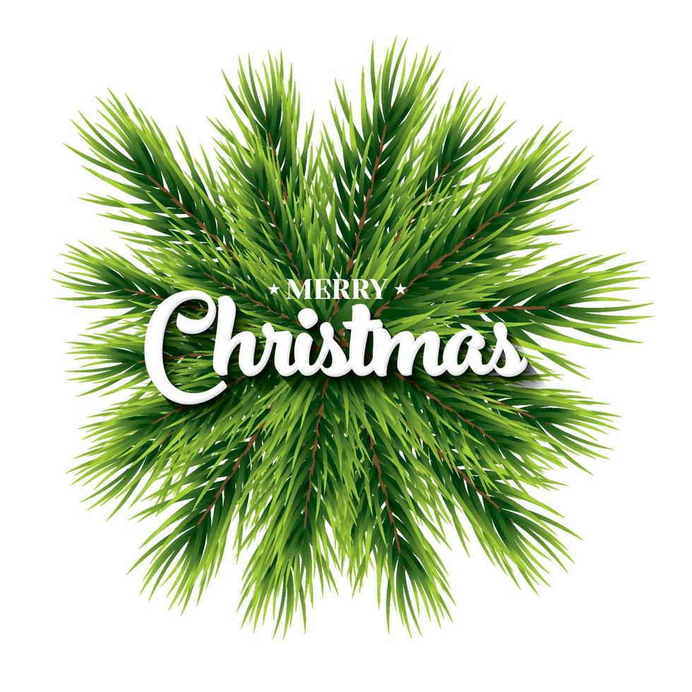 Merry Christmas lettering card with pine branch. vector