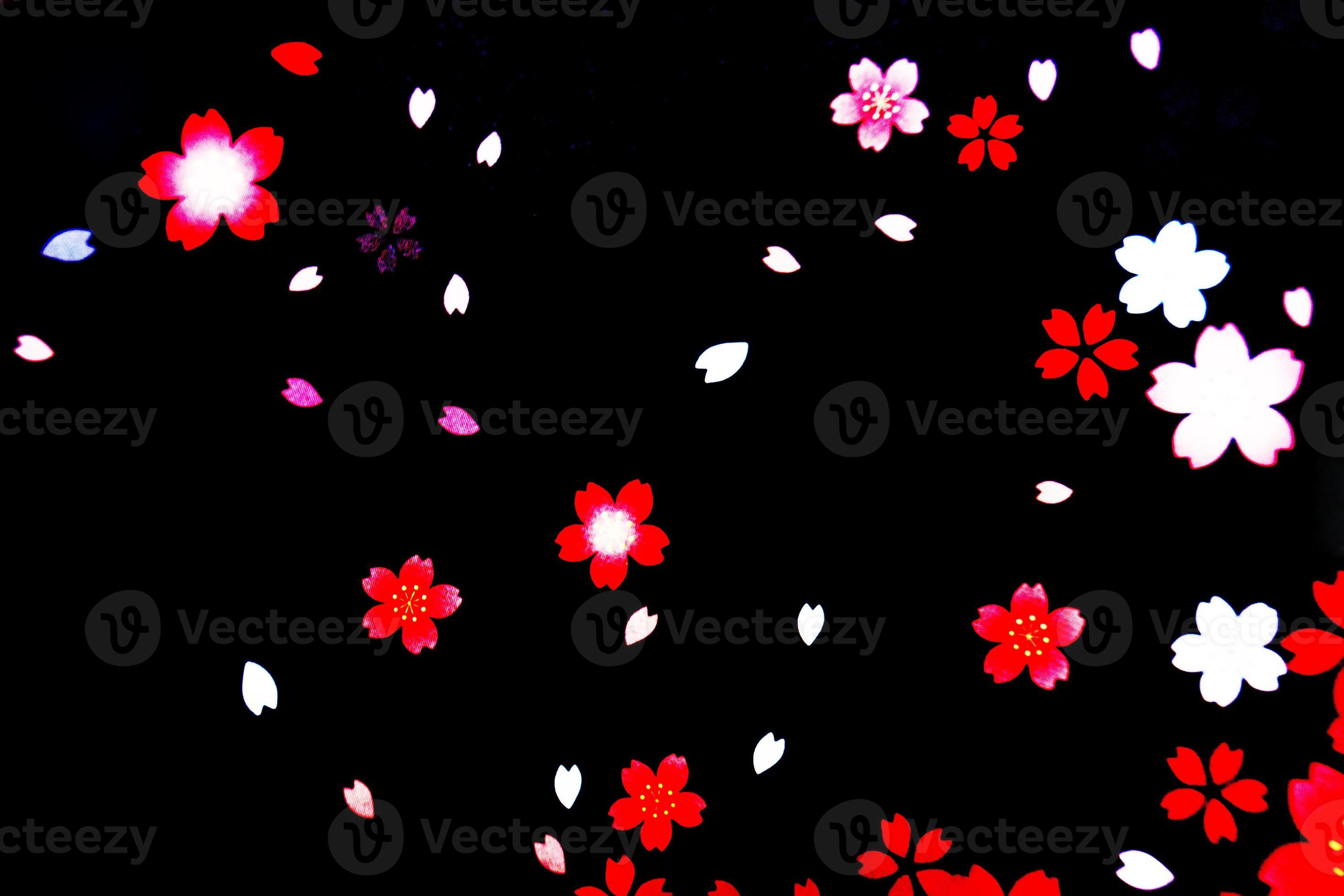 Black background with flower petals 7157807 Stock Photo at Vecteezy