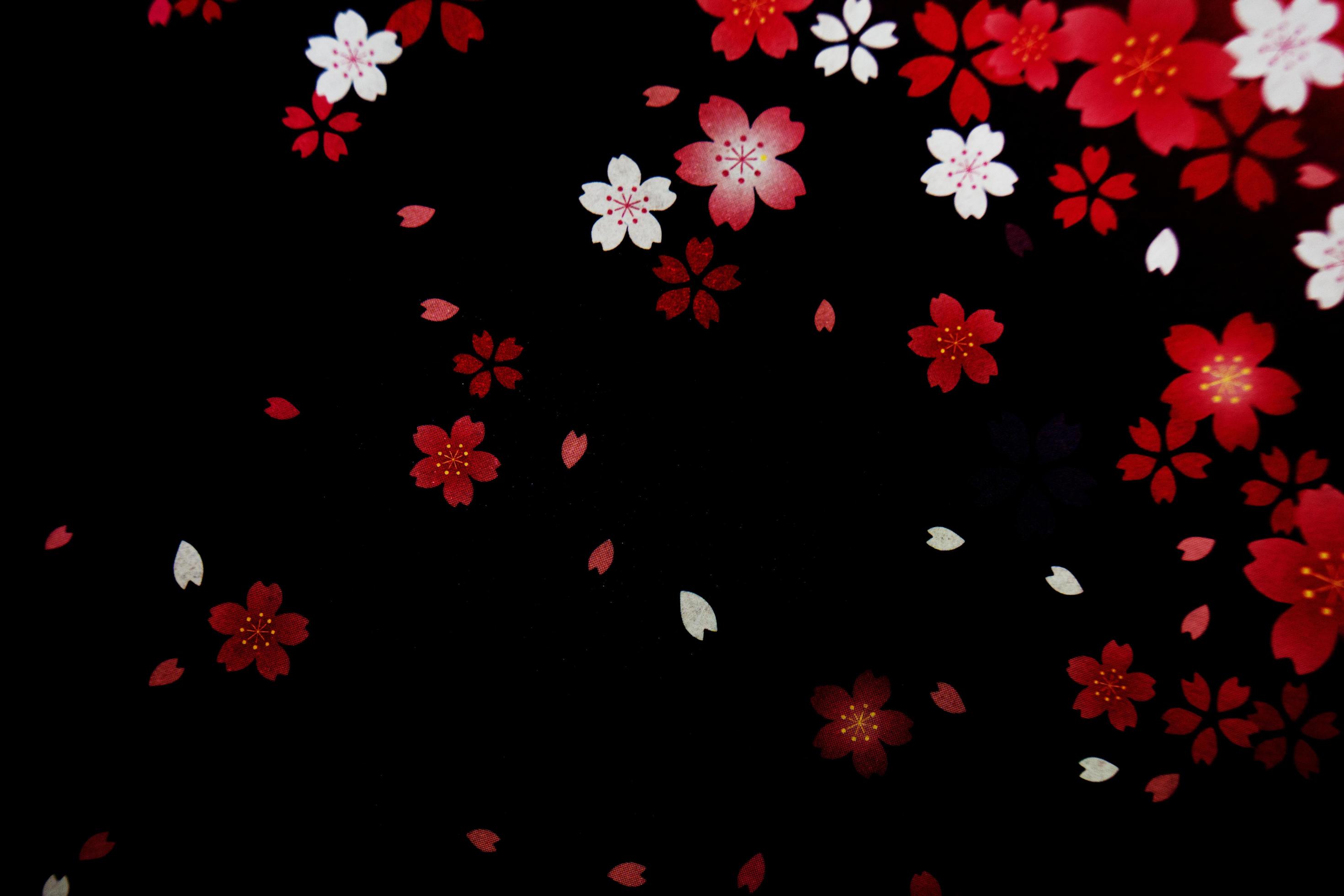 Black background with flower petals 7157809 Stock Photo at Vecteezy