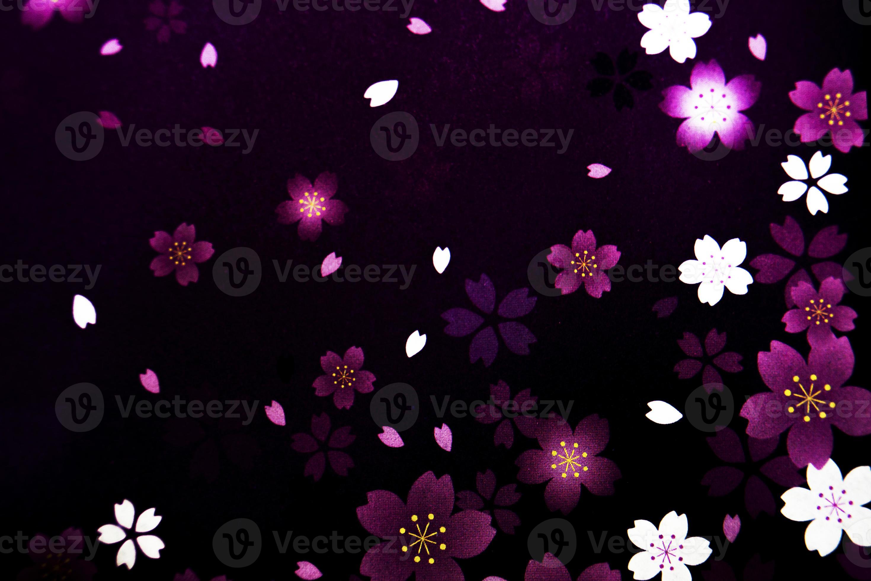 Black background with flower petals 7157812 Stock Photo at Vecteezy