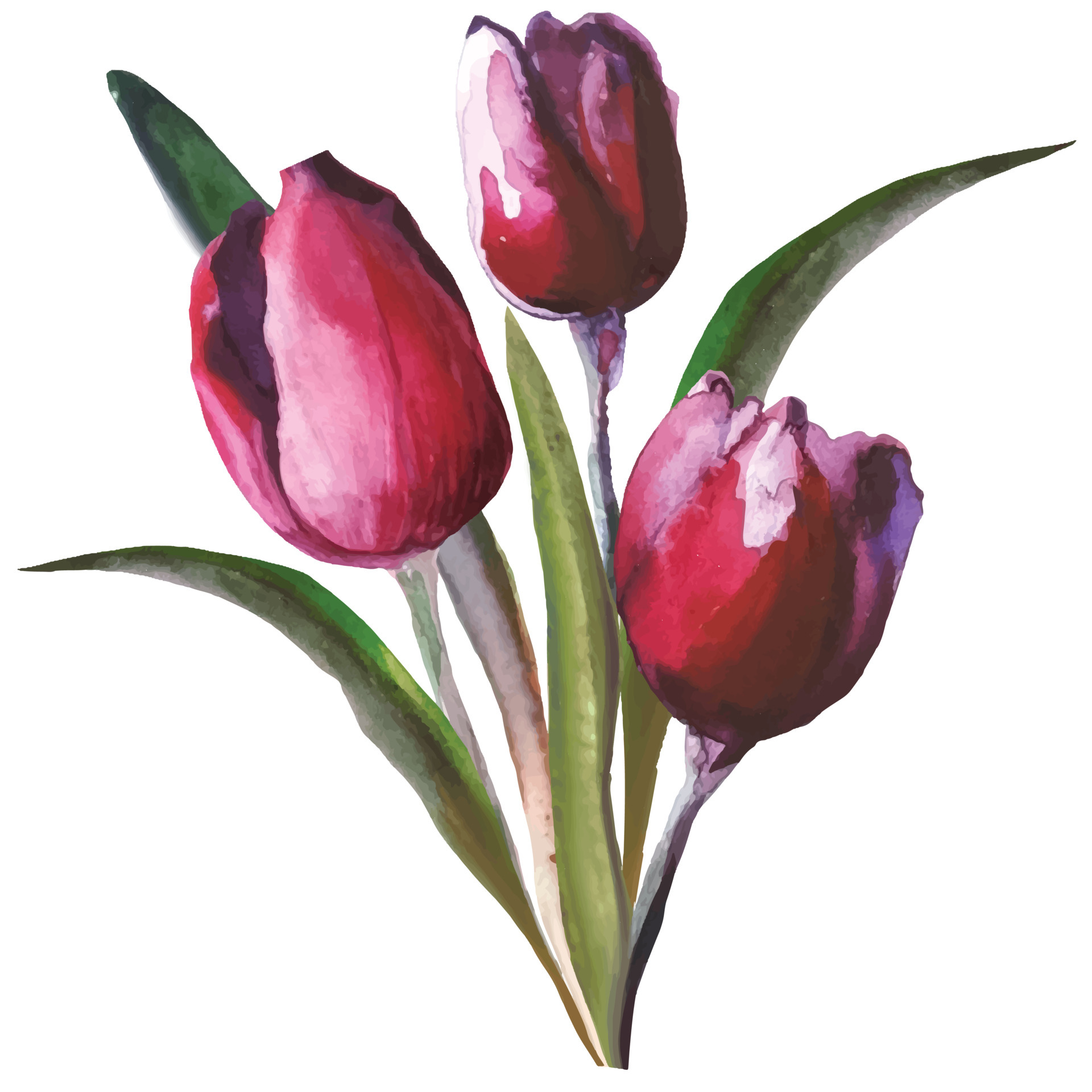 bouquet of blooming flowers of red tulips, illustration 7158780 Vector ...