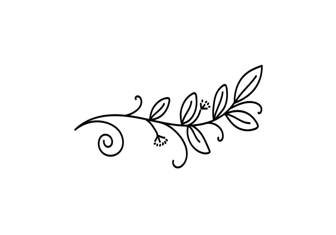 Flourish branch, chalk, doodle sketch hand drawn vector illustration.