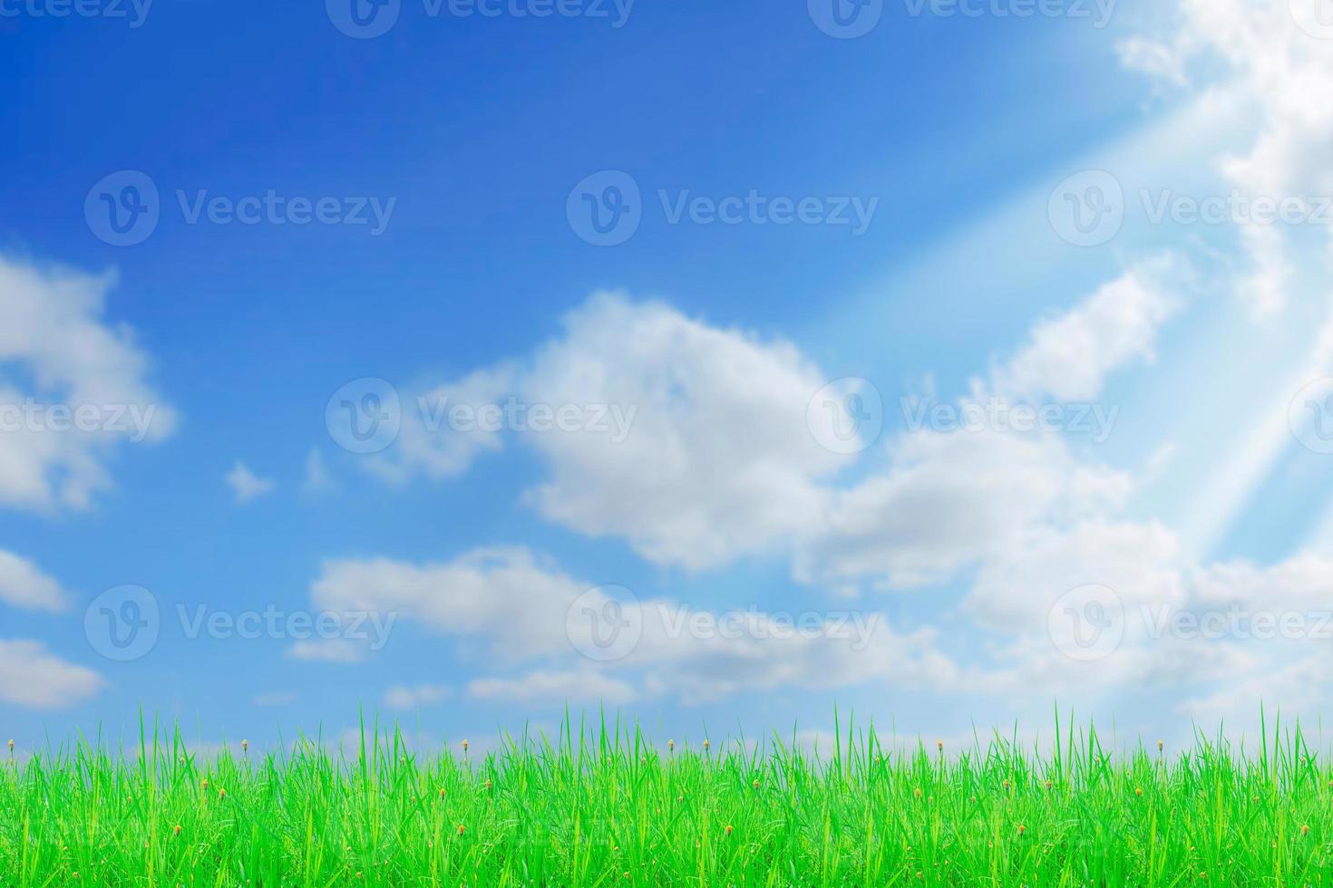 Grass field and sky with bright clouds for the background in the project. photo