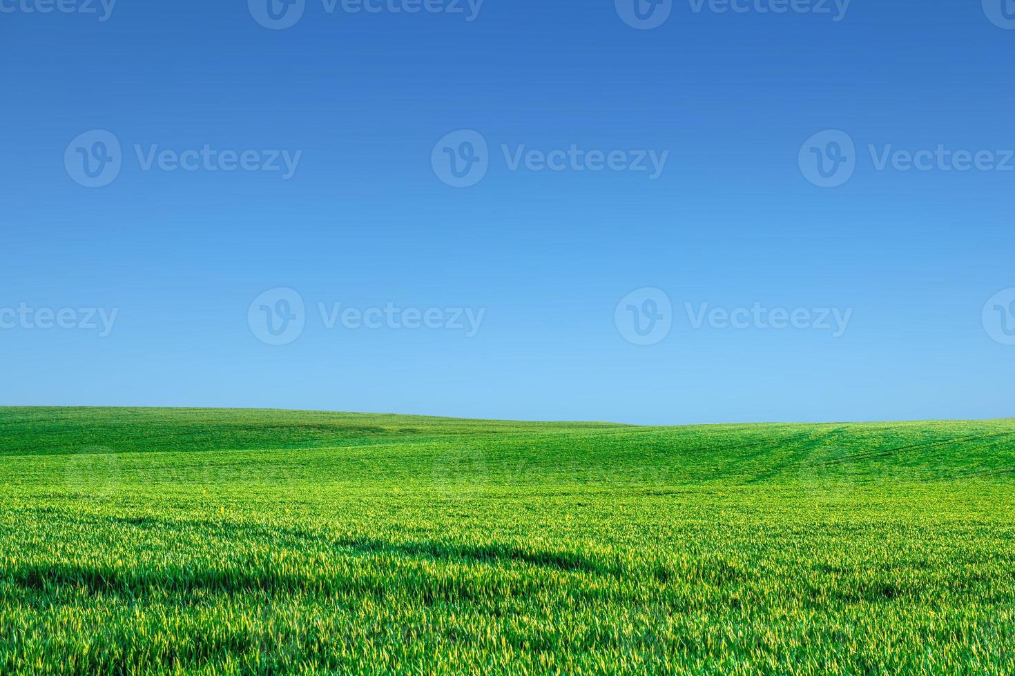 A large meadow in the background is the sky. nature background image concept photo