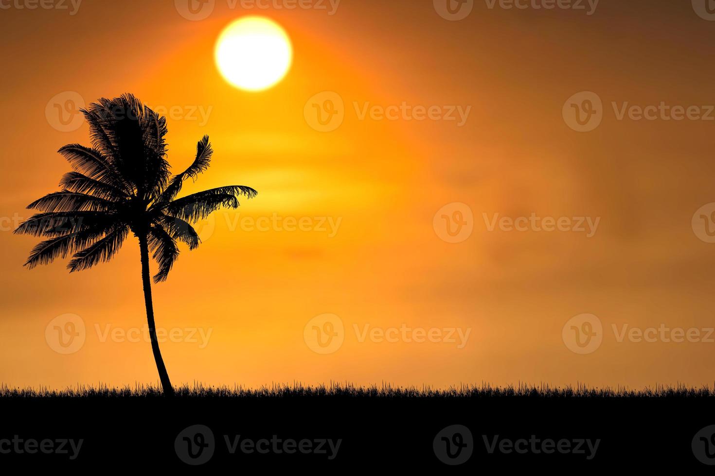 Coconut tree silhouette with beautiful natural light. for use as a background. nature view and sunset concept photo