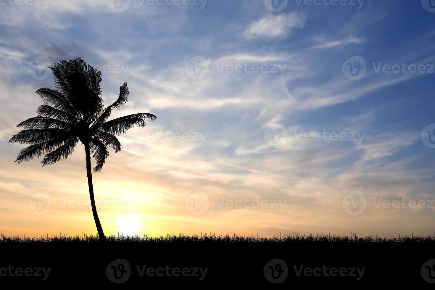 Coconut tree silhouette with beautiful natural light. for use as a background. nature view and sunset concept photo