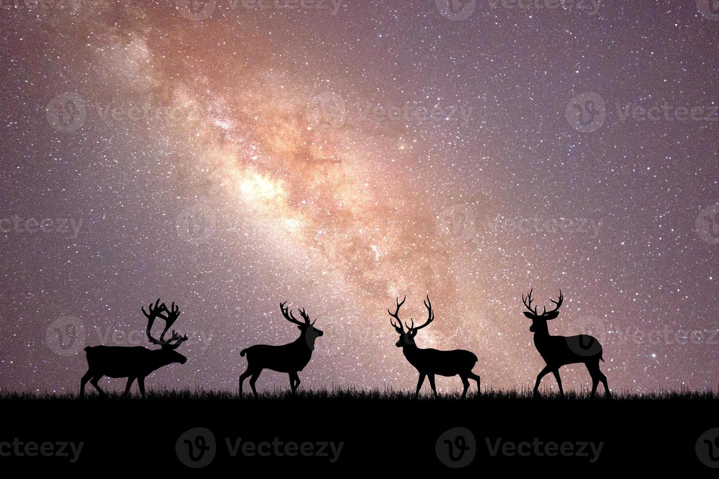 siluetas de ciervos en un hermoso prado de luz. concepto de vida silvestre en la naturaleza foto