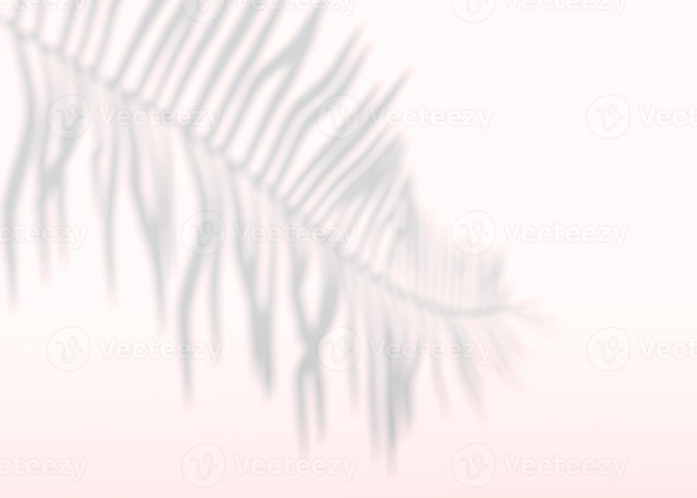 Abstract background of shadows palm leaves on a wall. 3d rendering. photo