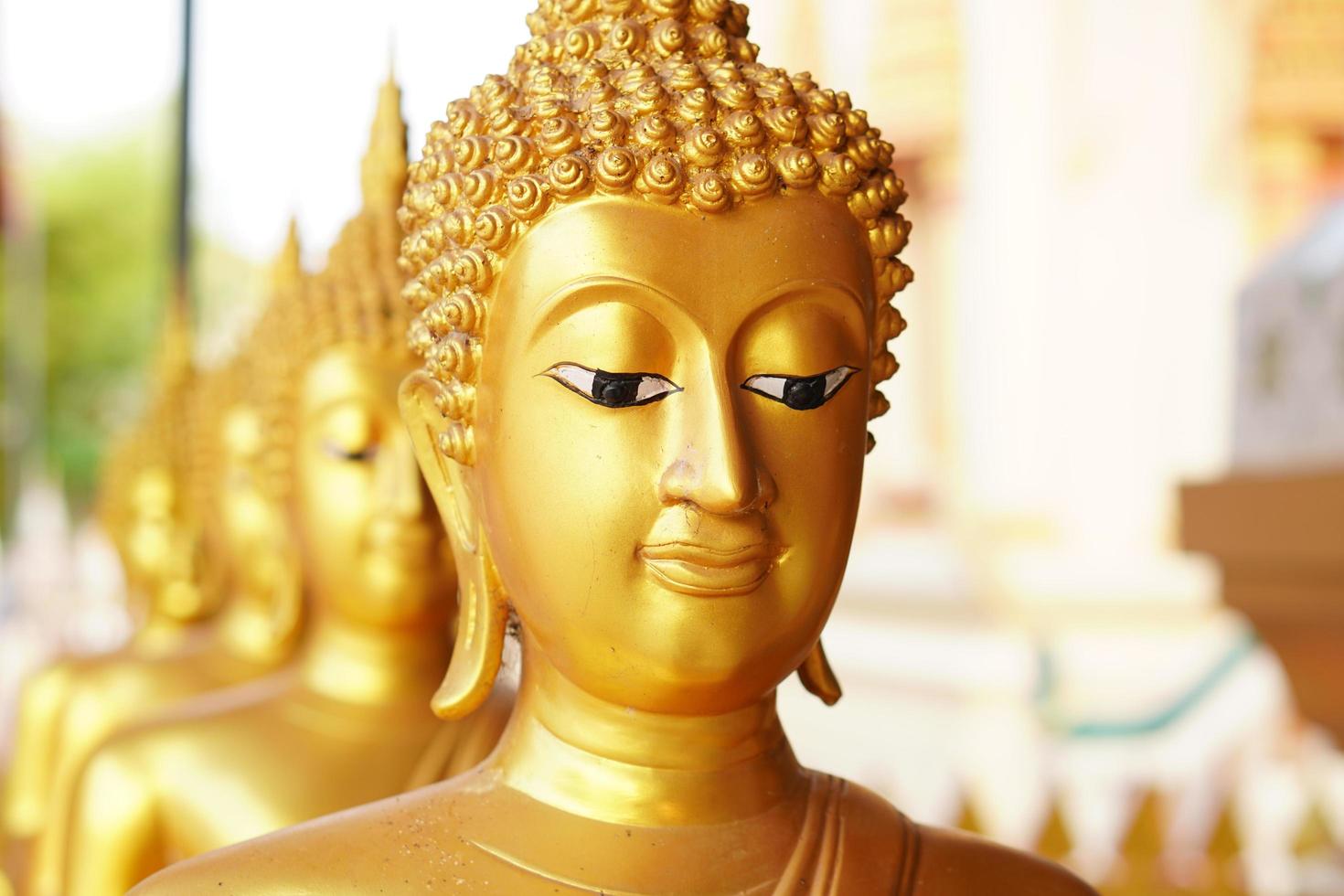 golden buddha Many of them are arranged in a row. photo