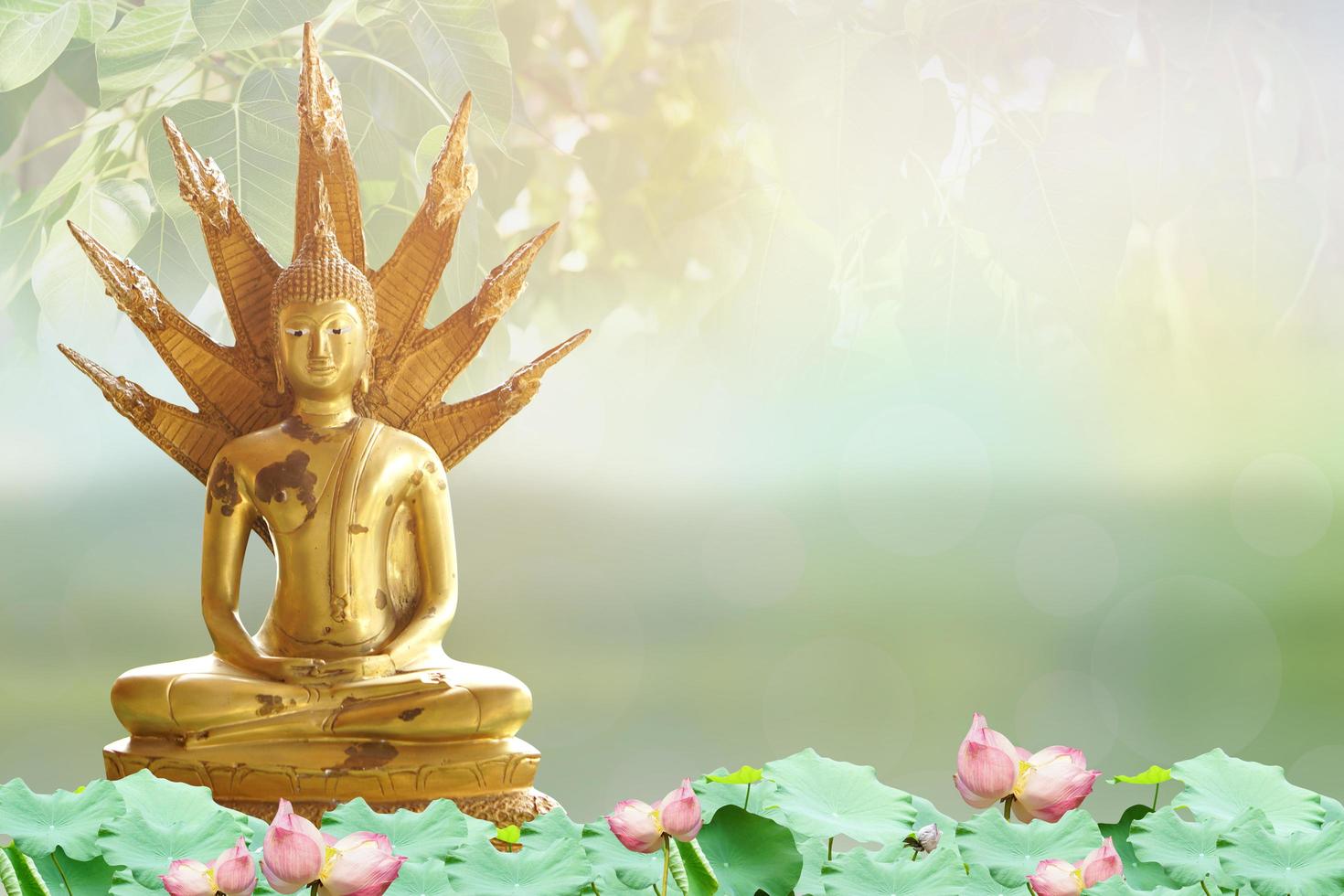 Buddha statue. background blurred flowers and sky with the light of the sun. photo