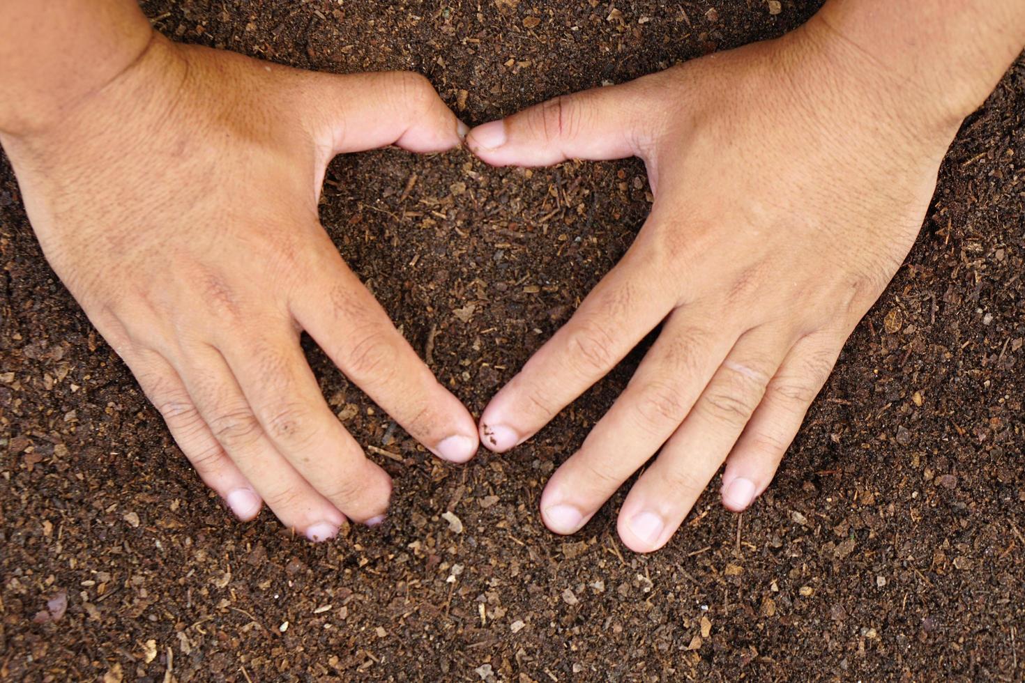 el suelo fértil se usa para cultivar plantas en manos humanas. foto