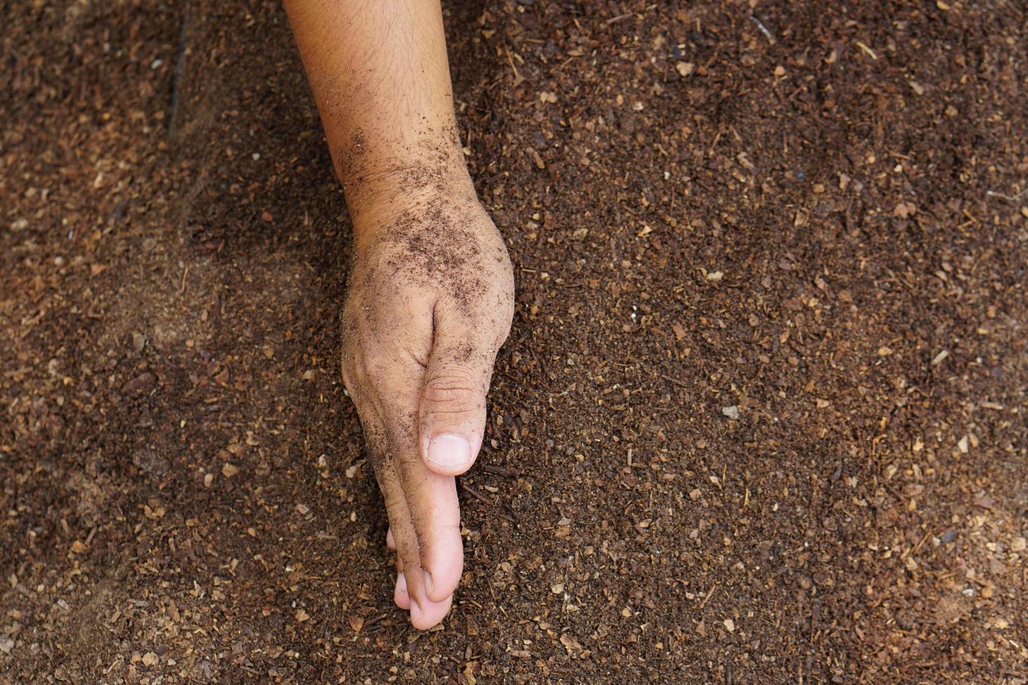 los agricultores mezclan el suelo para cultivar. proporcionar los minerales que las plantas necesitan está creciendo rápido y fuerte. foto