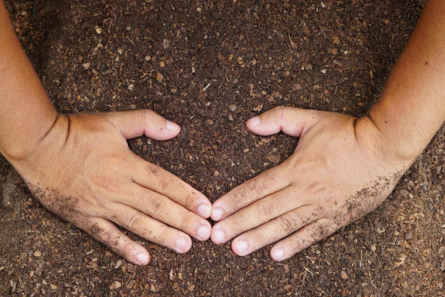 Farmers mix the soil to grow crops. provide the minerals that plants need It is growing fast and strong. photo