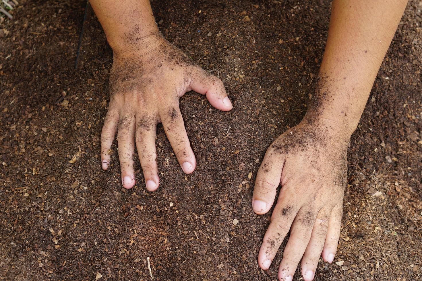 Farmers mix the soil to grow crops. provide the minerals that plants need It is growing fast and strong. photo