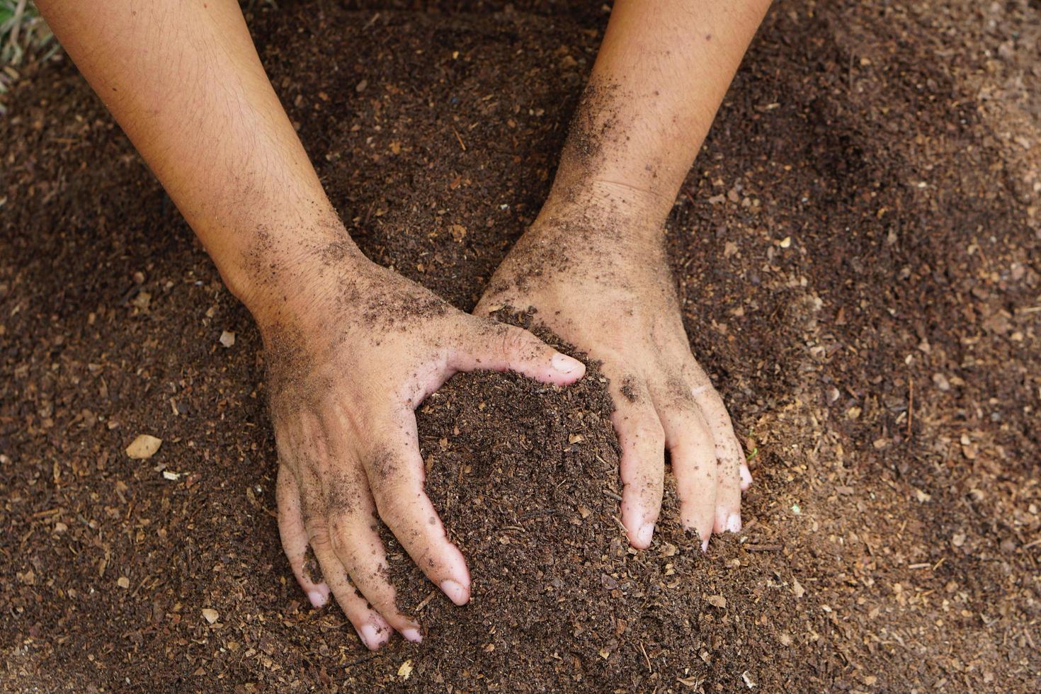 los agricultores mezclan el suelo para cultivar. proporcionar los minerales que las plantas necesitan está creciendo rápido y fuerte. foto