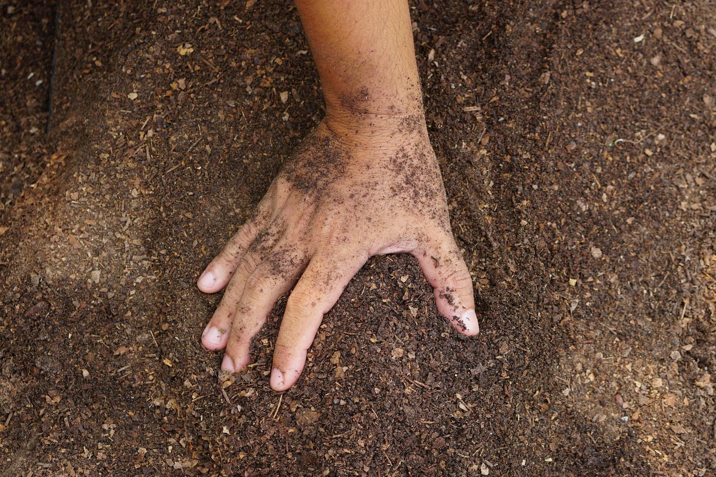 los agricultores mezclan el suelo para cultivar. proporcionar los minerales que las plantas necesitan está creciendo rápido y fuerte. foto