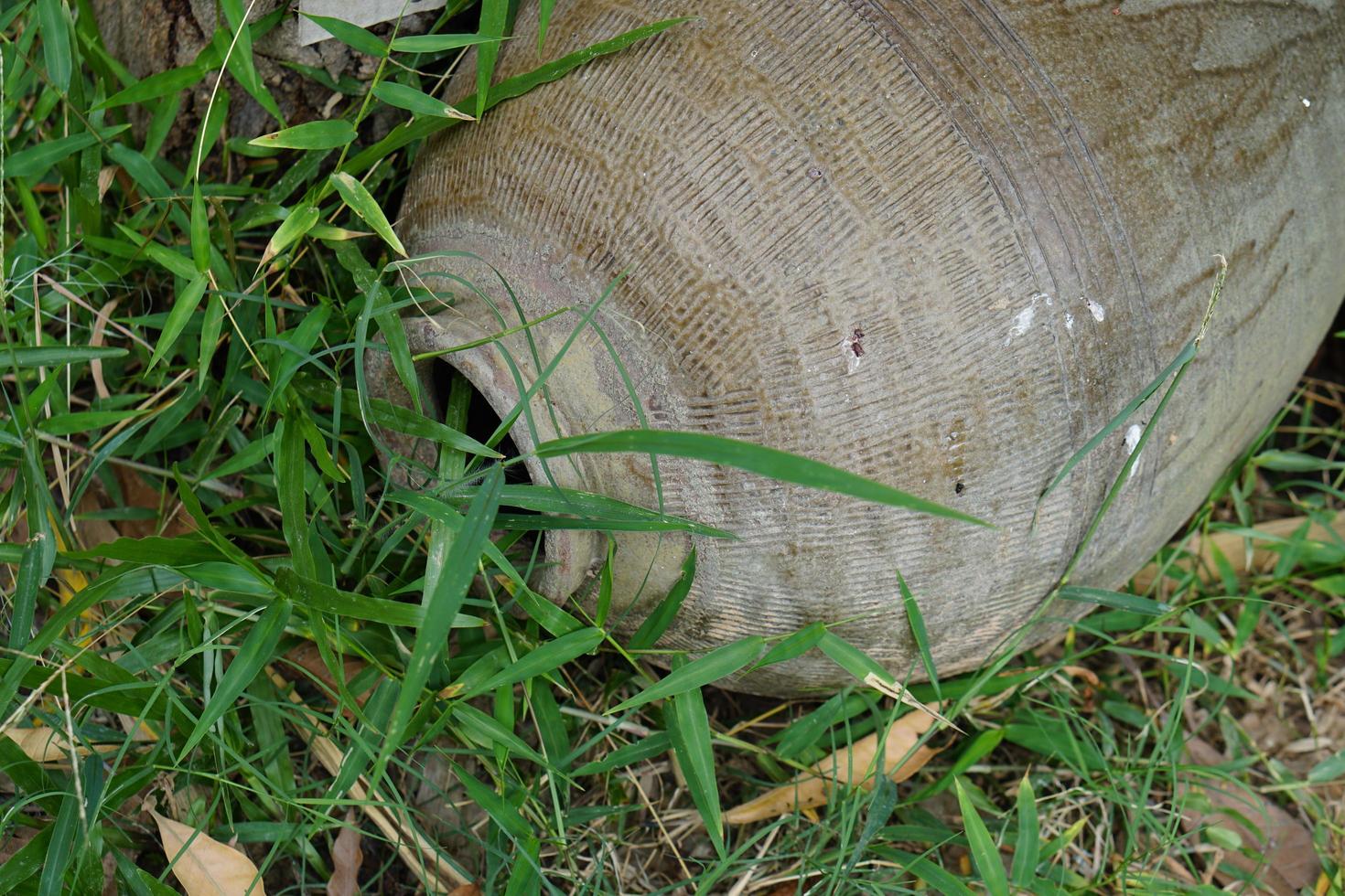 old jars were abandoned in the forest. photo