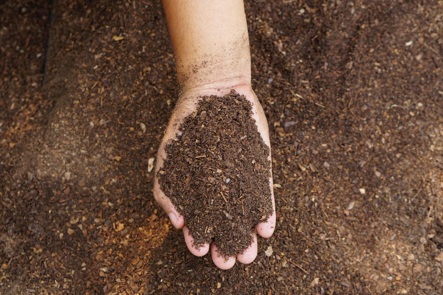 Farmers mix the soil to grow crops. provide the minerals that plants need It is growing fast and strong. photo