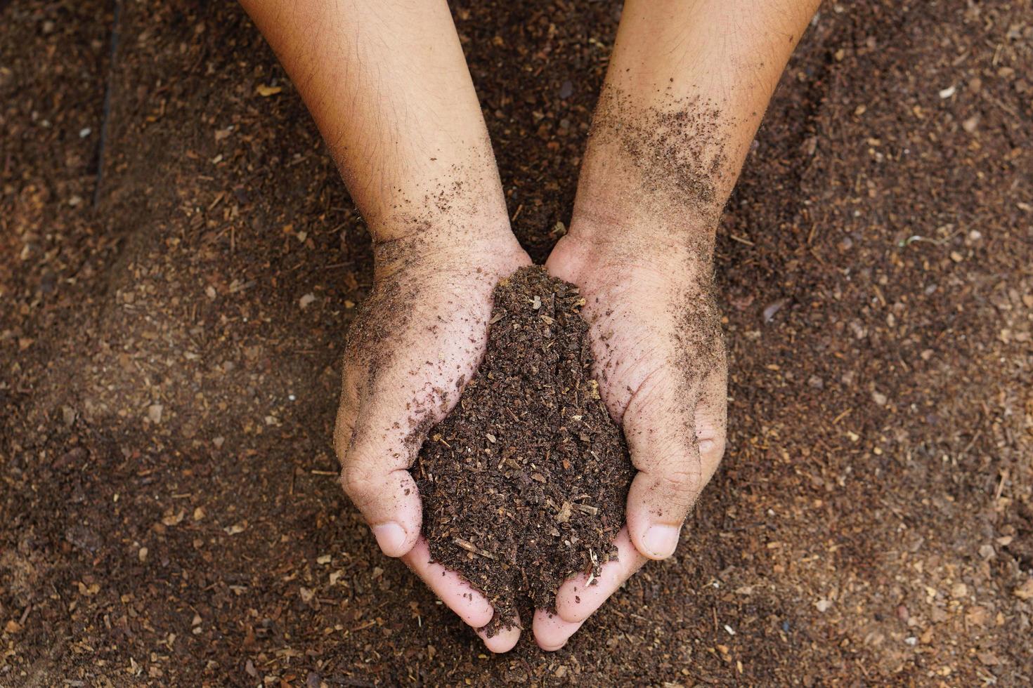 los agricultores mezclan el suelo para cultivar. proporcionar los minerales que las plantas necesitan está creciendo rápido y fuerte. foto